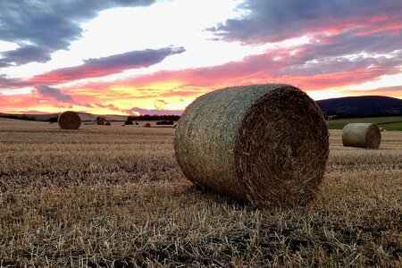 Evening landscape straw bales photo