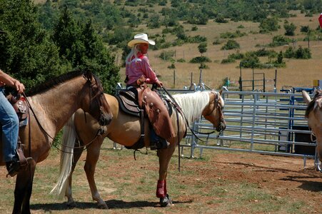 Horse ranch cowboy photo