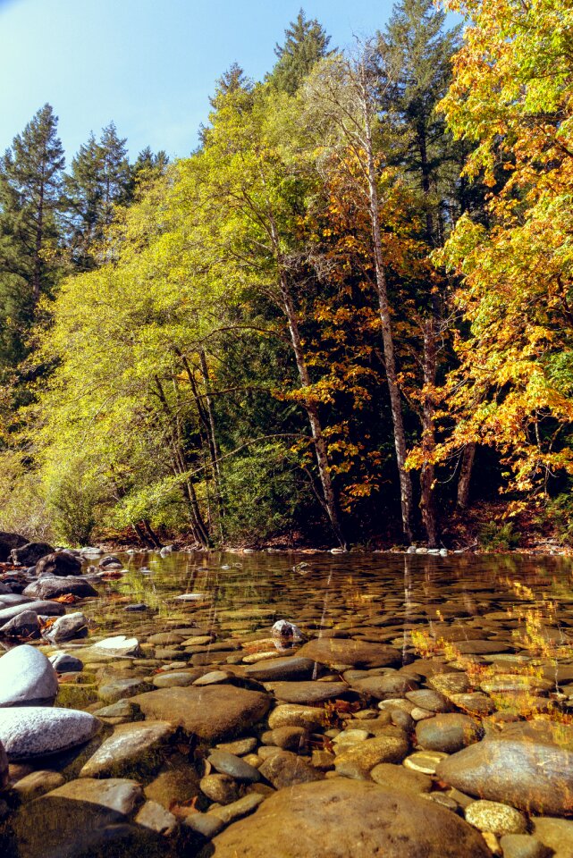 River rocks trees photo