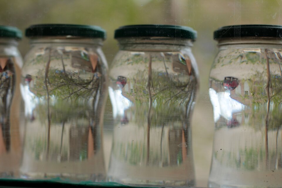 Jars with water landscape bonsai mini landscape