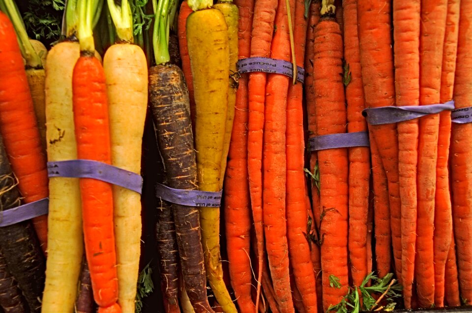 Usa food vegetables