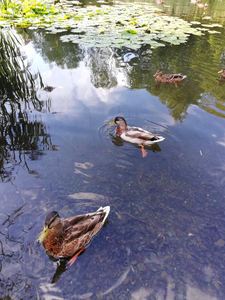 Water relax rest