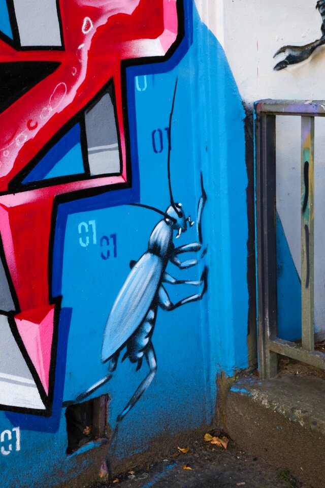 Sprayer art color