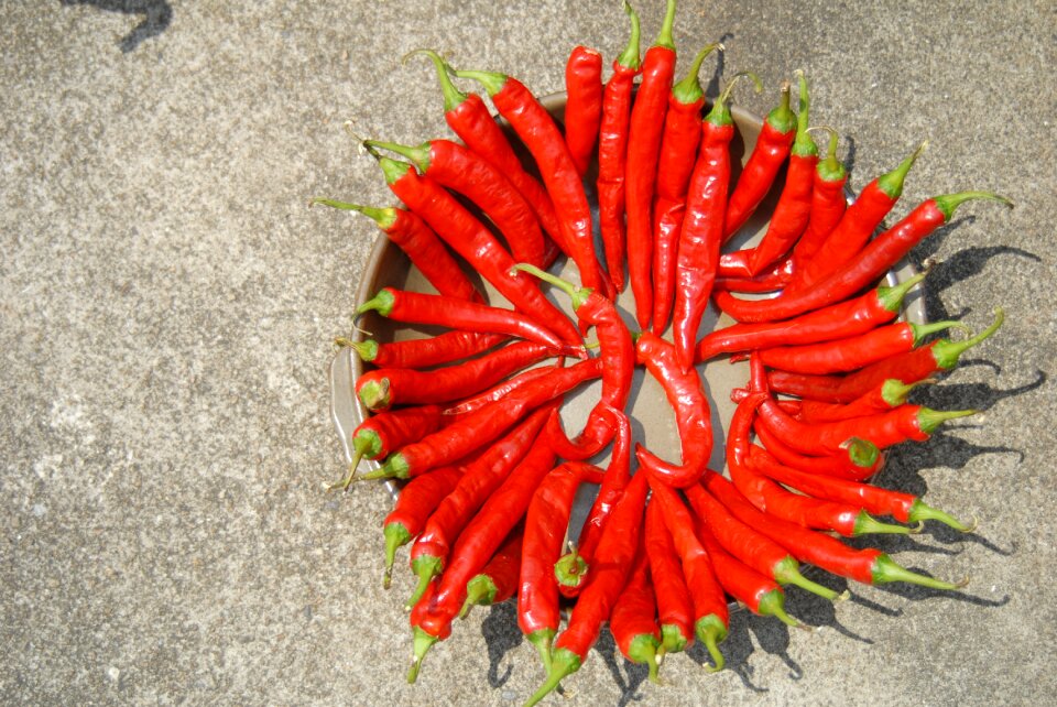 Sunshine food spice