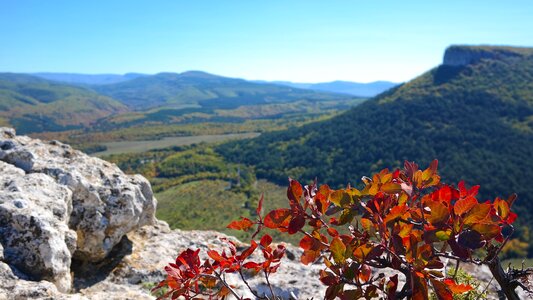 Nature vista travel