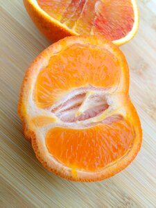 Citrus nature beautiful