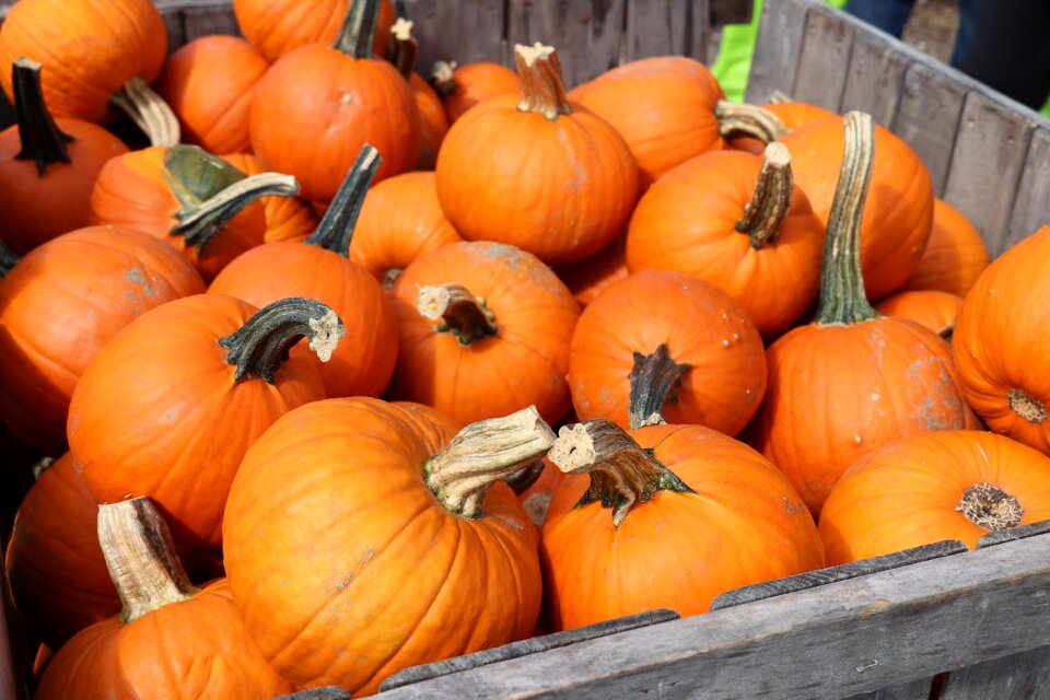October season food
