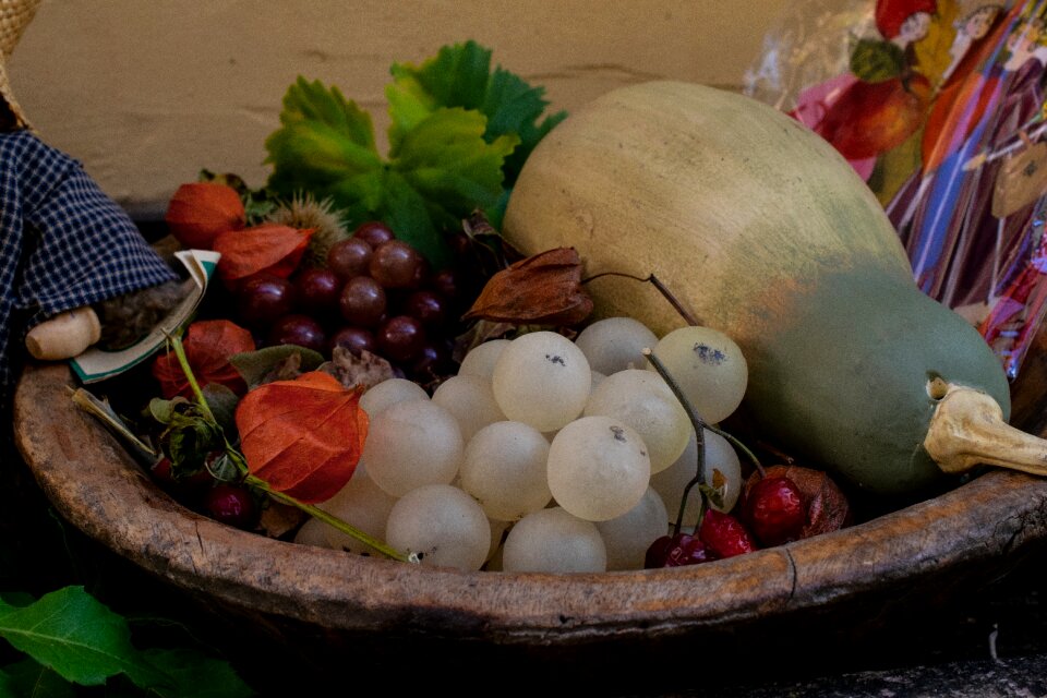 Halloween autumn autumn fruits