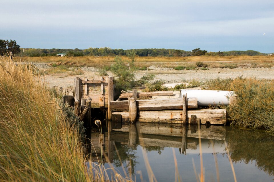 Landscape nature marsh