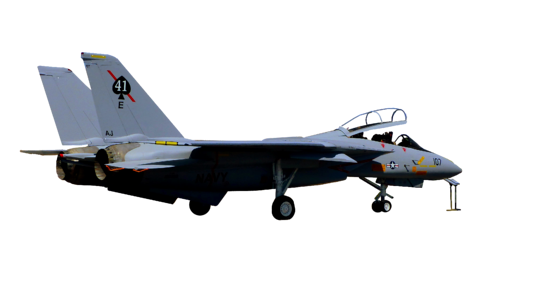 Flight hunting aviation