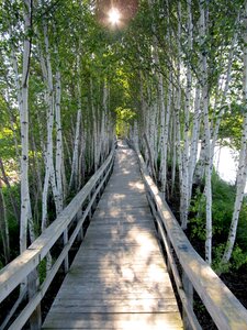 Sunlight walkway passage