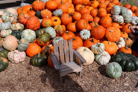 October season food