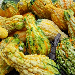 Fall decoration ornamental