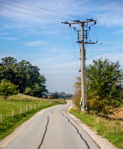 Current power lines forest