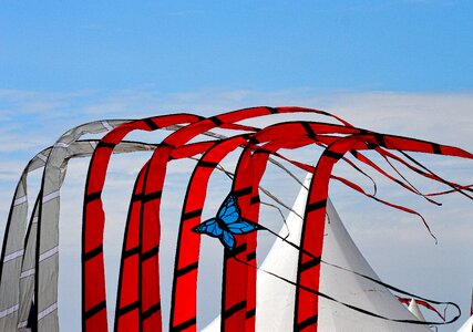 Freedom sky fun