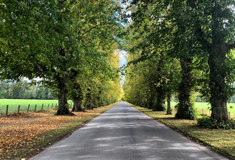 Road landscape mood