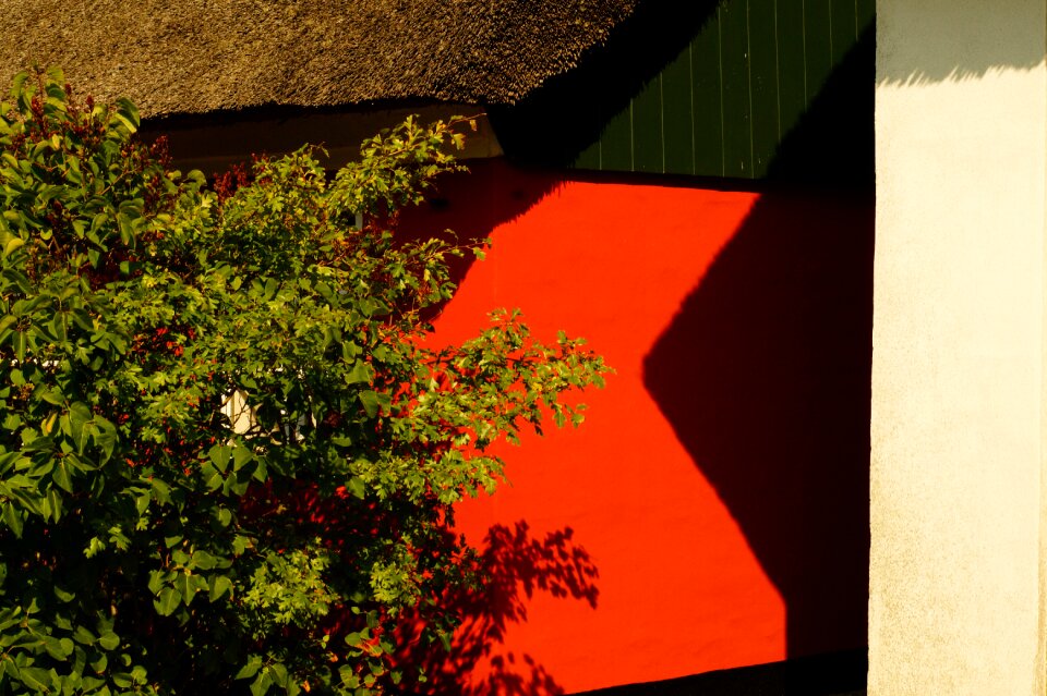 Building design facade