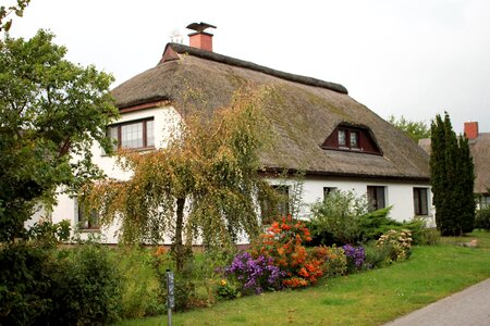 Hiddensee vitte thatched roofs photo