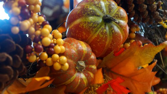 Thanksgiving fall decoration