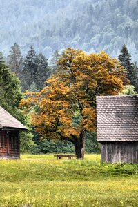 Hut bank fall color