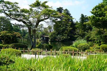 Japan garden green