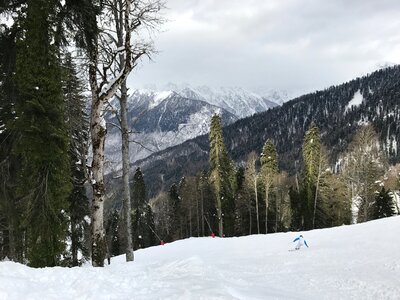 Sochi skier track