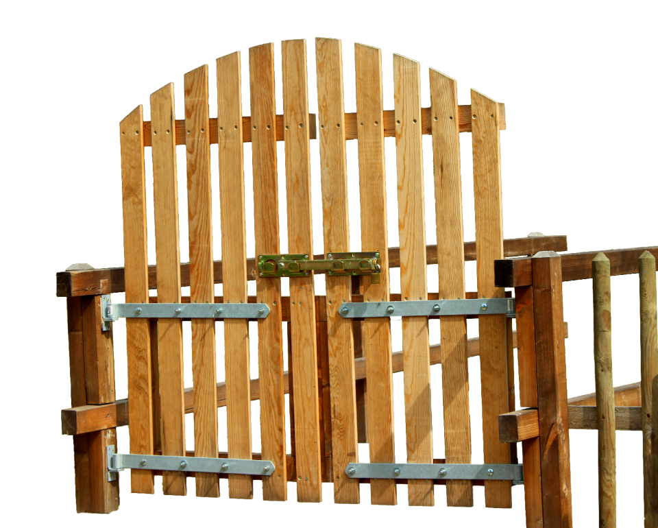 Isolated garden fence boards photo