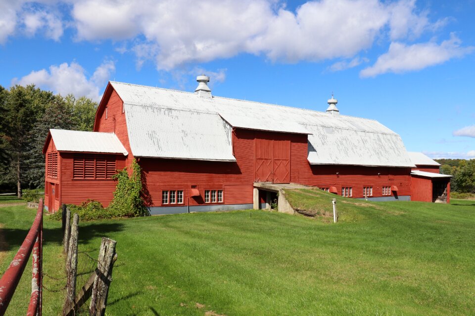 Grass rural
