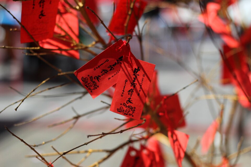 Label chinese writing chinatown