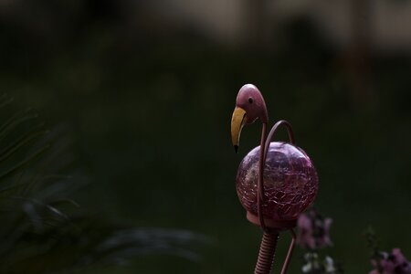 Gartendeko garden design flamingo photo
