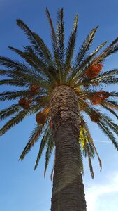 Palma the sky blue sky