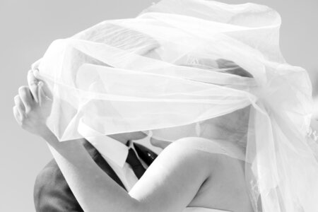 Marriage happiness veil