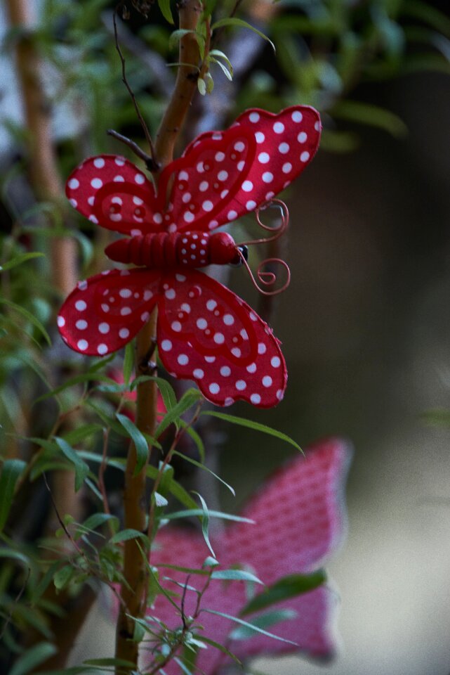 Gartendeko garden design butterfly