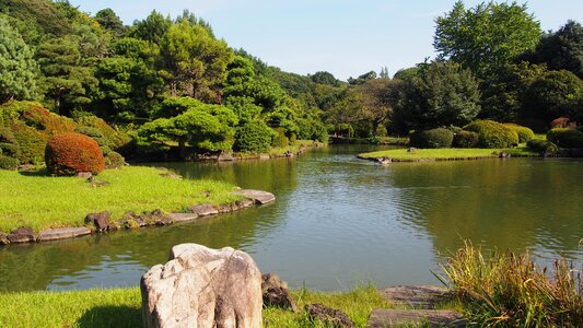 Japan garden green