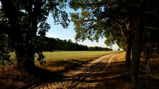 Promenade field autumn