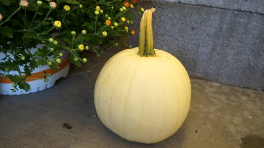 A harvest autumn
