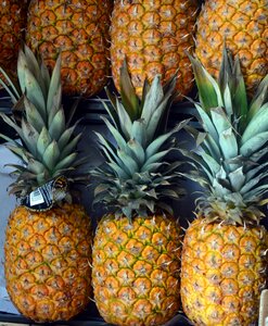 Fruit tropical exotic