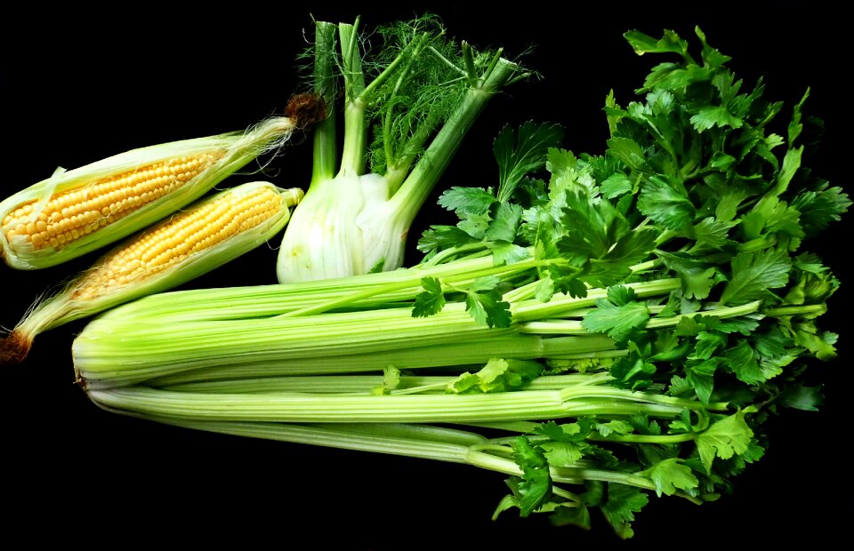 Corn fresh vegetarian