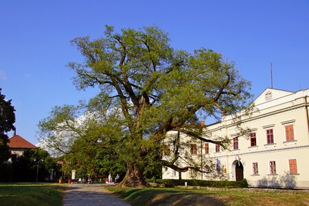 Castle tourism nature