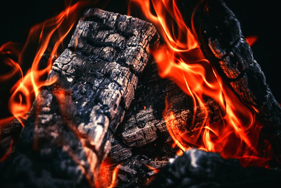 Koster burn firewood