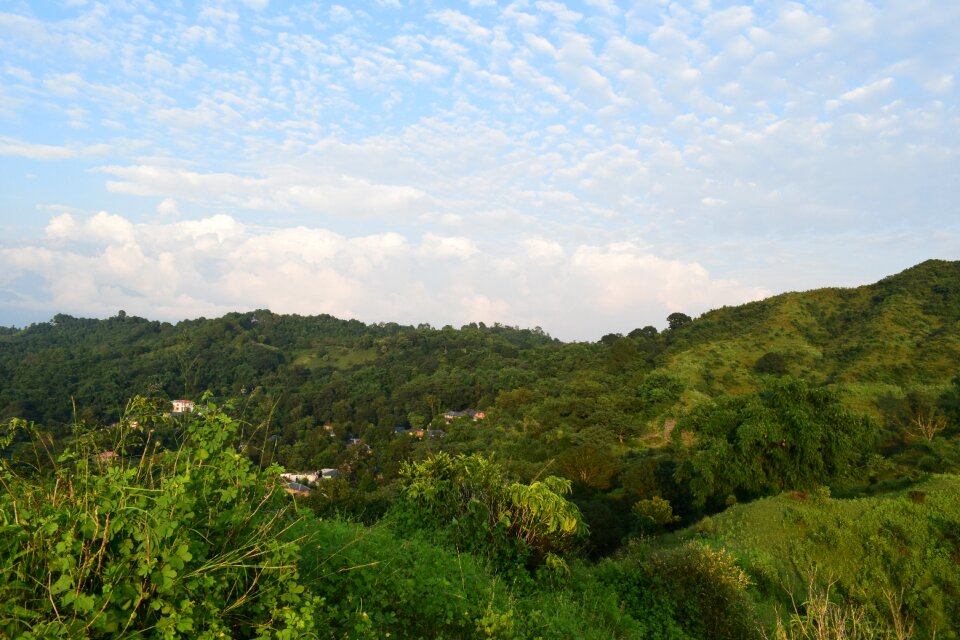 Nature grass mountains photo