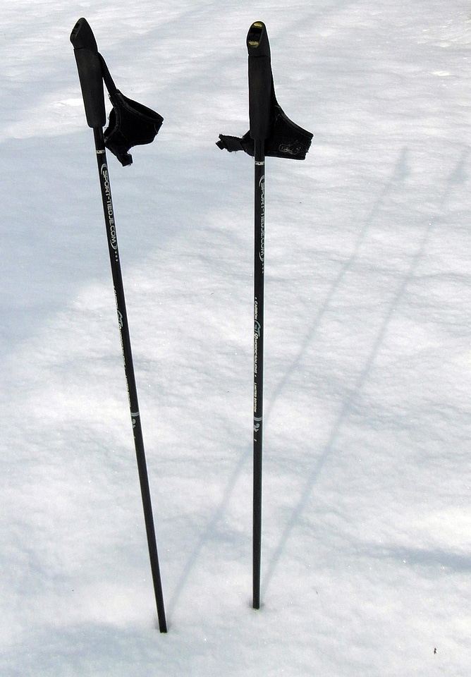 Poles nordic walking winter