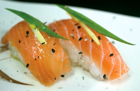 Japanese food oriental sushi photo