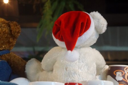 Bear chrismas teddy