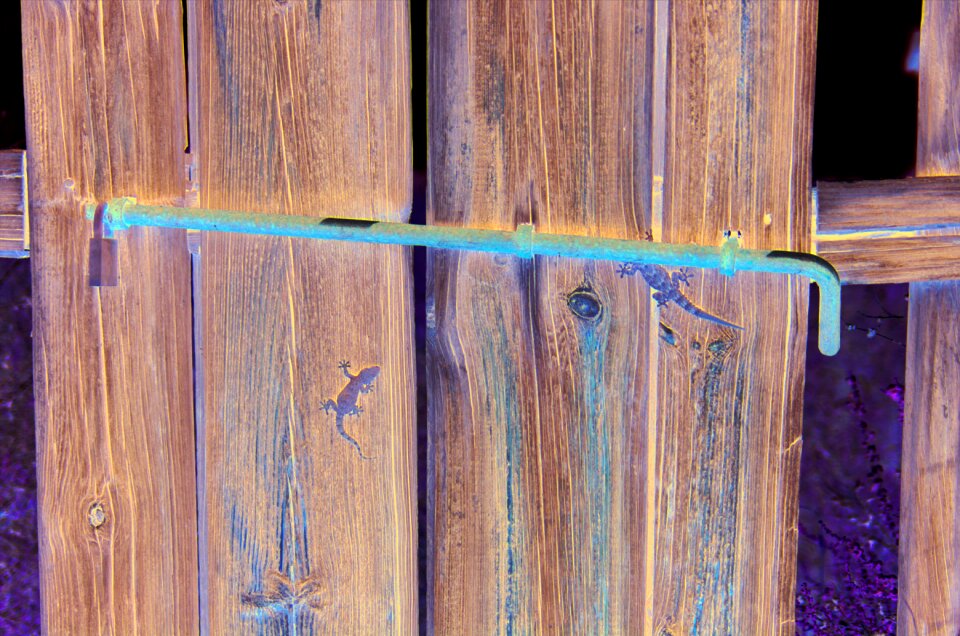 Woods fences rustic