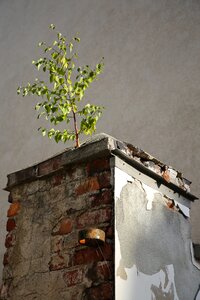 Ailing dilapidated building damage
