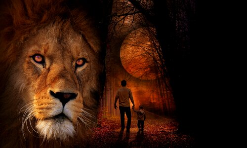 Africa king dangerous