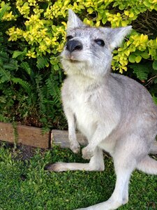 Australia vacations nature