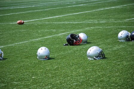 Grass sport games