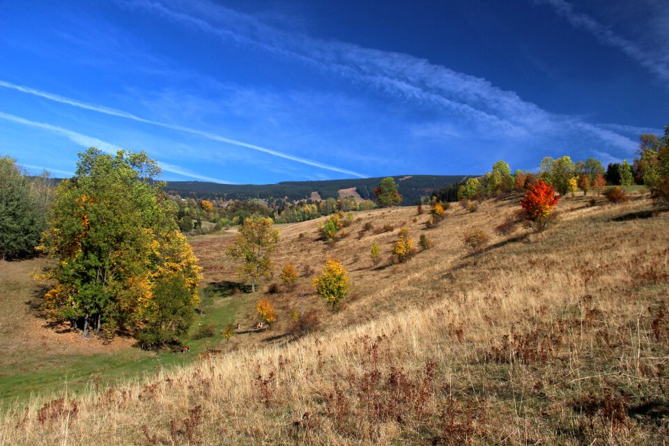 Sky meadows country